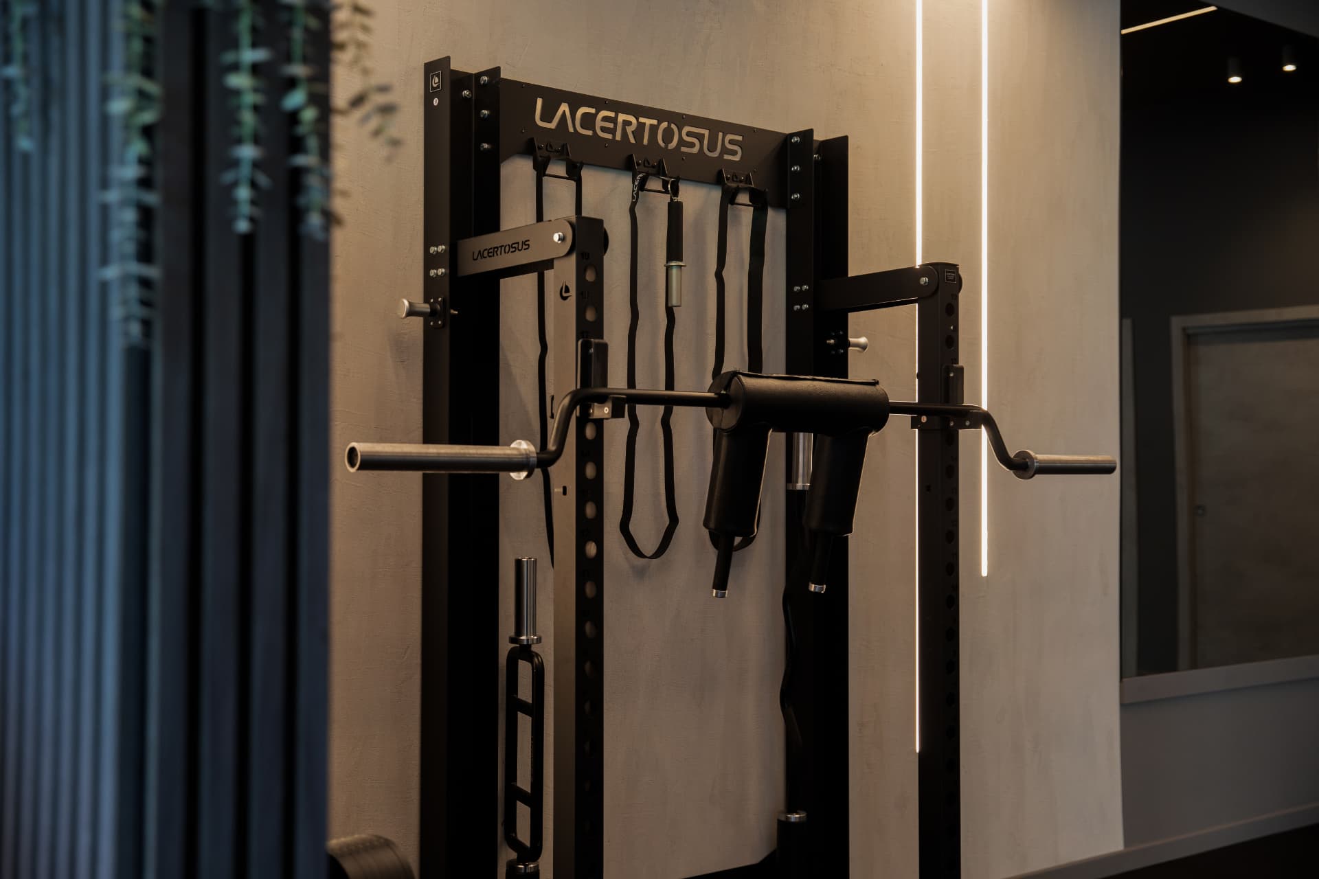 Sala pesi con rack Lacertosus